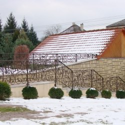 Wrought iron railings in the garden