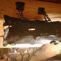 A hand wrought iron hanging light Bark