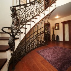 A curved wrought iron railing - entrance gate and stairs